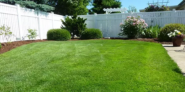 Lawn Care