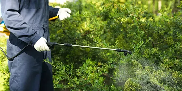 Perimeter Pest Control